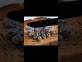 Silver Ingots Spread ASMR Perfectly Shaped Ingots Melts On Toast Asmr Silver Relaxing Relief 