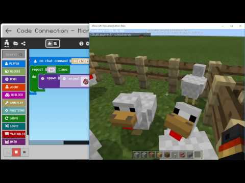 Chickens! - MakeCode for Minecraft Code Builder