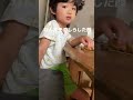 牛乳を床にこぼした時の4歳児の反応…【シングルファザーワンオペ育児】#shorts