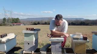 So Your Bees Absconded! Hive Inspection Robbing and How to Deal With It!