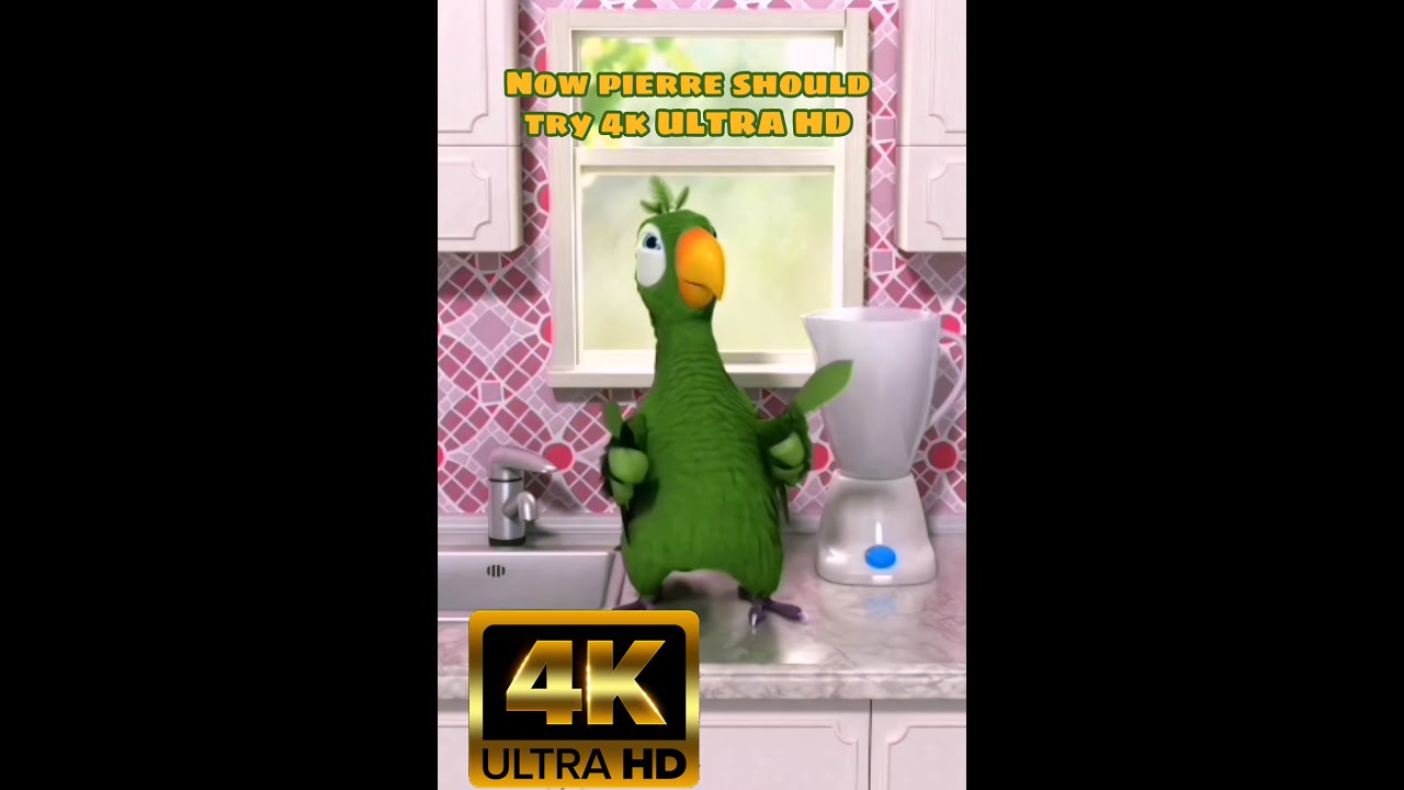 Talking pierre 1.0 4k Ultra HD