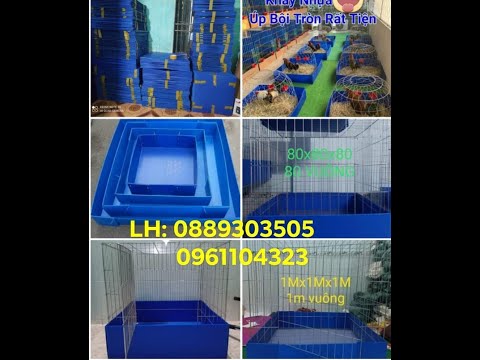 Video Phụ kiện gà đá - chuồng gà lắp ráp - khay nhựa thùng... - youtube