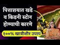 पित्ताशयाचे खडे होण्याची कारणे व उपाय. Reasons for Gall Bladder Stones &amp; Kidney Stones. Treatment 