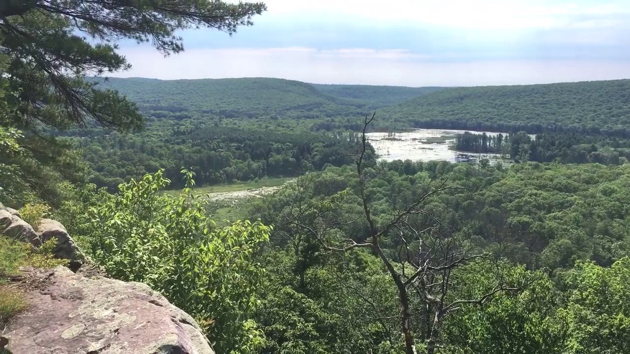 White Pine Bluff - four birds trail. NJ