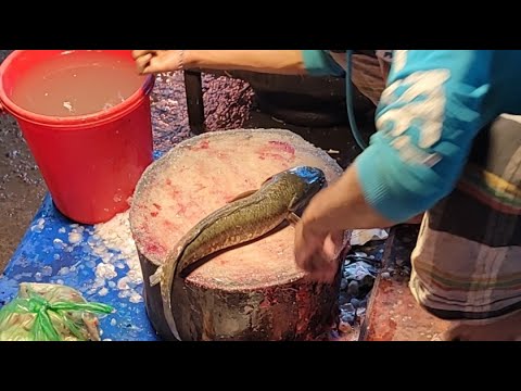 Hanif Fish Hm Abu Hanif fish cutting channel আলহামদুলিল্লাহ is live! Big fish ...