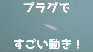 バス釣り　すっごいルアーもらった！