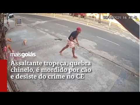 Assaltante tropeça, quebra chinelo, é mordido por cão e desiste do crime no CE- Mais Goiás