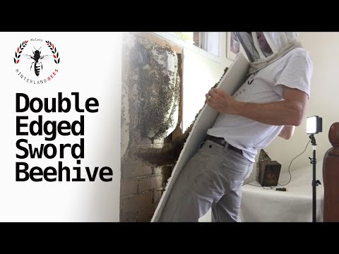 Double-Edged Sword Hive
