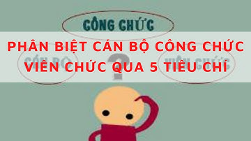 Phân biệt cán bộ, công chức, viên chức qua 5 tiêu chí dễ hiểu nhất