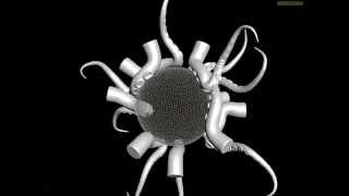 tentacles on sphere