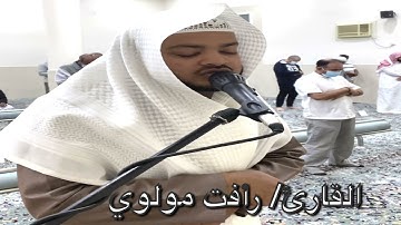 تراويح ليلة (١٧)١٤٤٢ القارئ/ رأفت مولوي