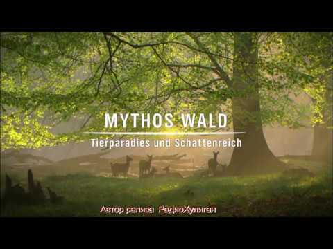 mythos wald mythos wald