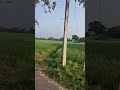 Soothing