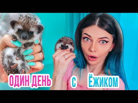 ПЕРВЫЙ ДЕНЬ С