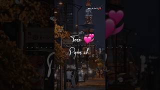 Tere Pyar Ch Rangeya Aee Mera Luu Lu Sajjna