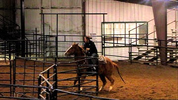 Blaze Me Colonel - 11/28/12 sorting practice 1 - Valley View Ranch