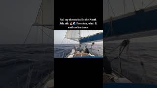 Sailing downwind in the North Atlantic ⛵️🌊 Freedom, wind & endless horizons. #shorts #sailing