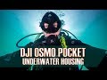 Scuba Diving with the DJI Osmo Pocket Underwater Housing