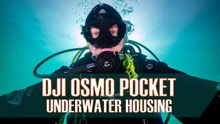Scuba Diving With The Dji Osmo Pocket Underwater Housing