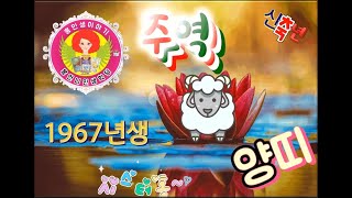[주역] 신축년 1967년 양띠 운세