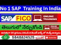 తెలుగు లో SAP ట్రైనింగ్ వీడియోస్ -Telugu SAP Course-Best Online Training In Telugu Addanki Amarnath