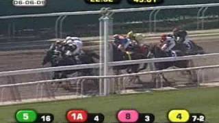 2009 Woody Stephens Stakes