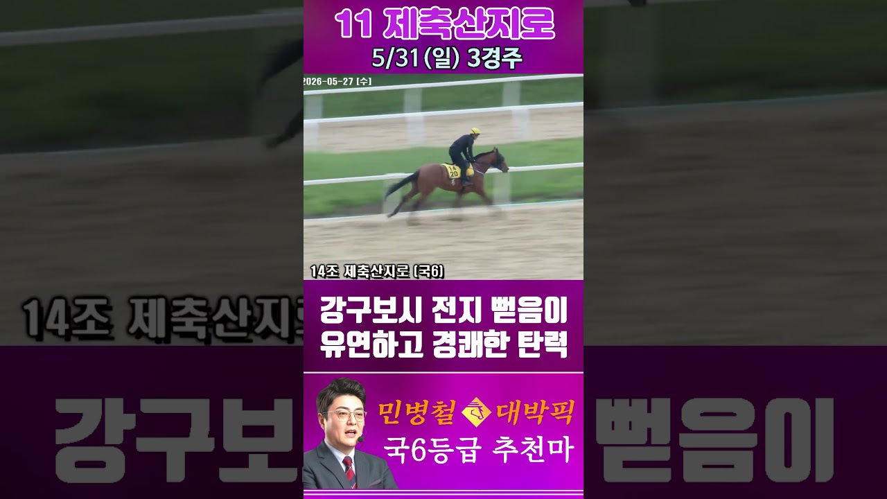 [서울 경마] 민병철 대박픽 2026년 5월 31일 일요 3R 추천마2 #경마 #automobile #하이라이트 #horse #한국마사회 #주식 #https #korean #게임