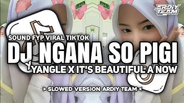 DJ SAD - NGANA SO PIGI X YANGLE X IT