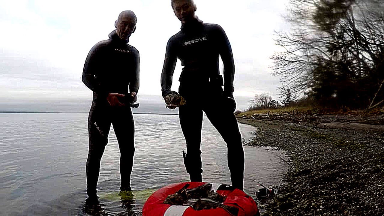 Snorkeling Point Roberts, Washington YouTube