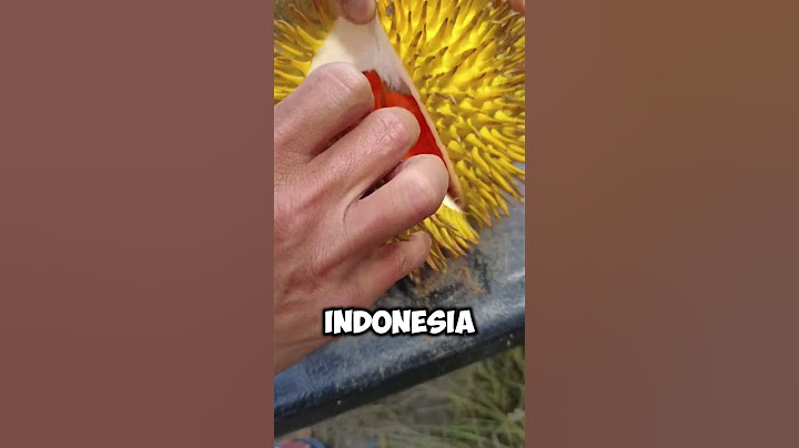 ¡Descubre el Durian Hutan! La Fruta Exótica con Aroma Suave 🌿🍈 #shorts