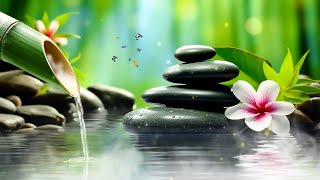 Relaxing Sleep Music + Insomnia | Bamboo Fountain, Stress Relief, Deep Sleep, Relax & Therapy Music by Calming Sleep Piano Music 5,496 views 3 weeks ago 8 hours, 5 minutes