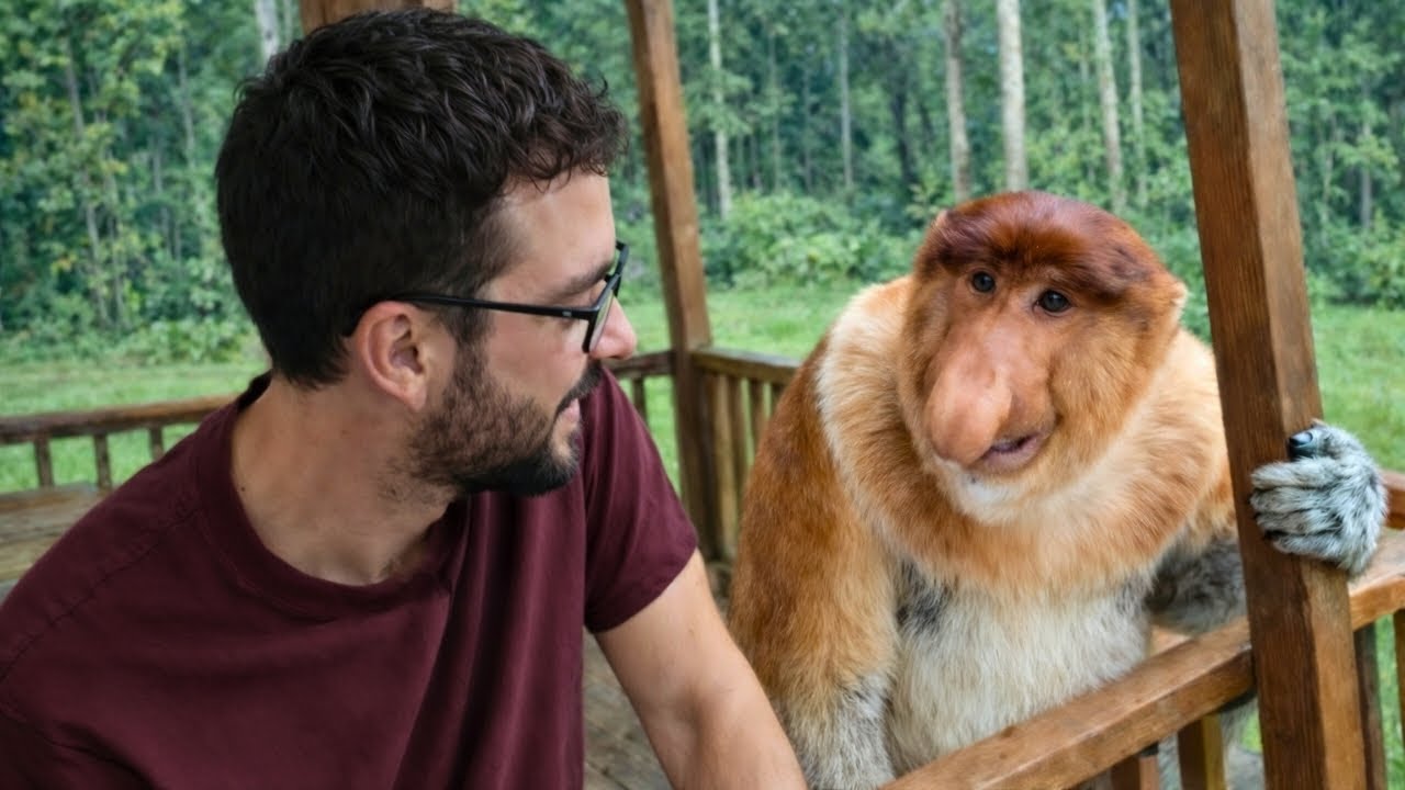 Nie spodziewałem się że podejdzie TAK BLISKO!