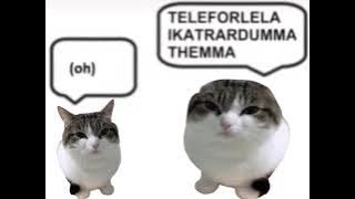 wawa cat xtentacion