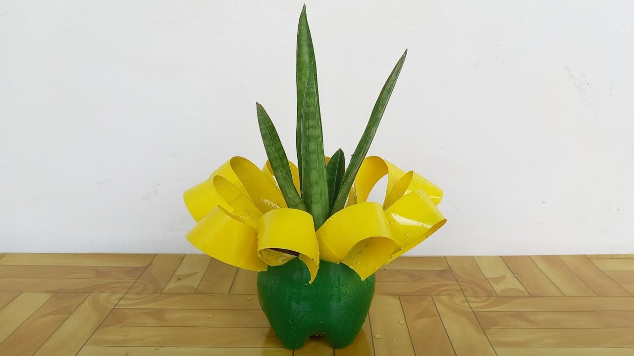 Gardening ideas/Creative Way of Recycling Plastic Bottle into Beautiful DIY Planter with