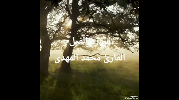 سورة الفيل القارئ محمد المهدى