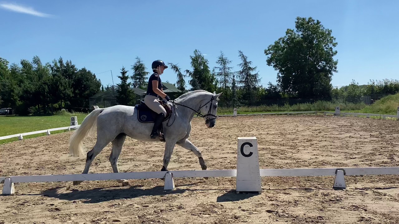 Czworobok na Srebrną Odznakę Jeździecką