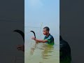 😱 How to Catch American Catfish Easily! 🎣 #fishing #shorts#fish #fishingvideo #viral