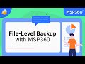 File-Level Backup with MSP360
