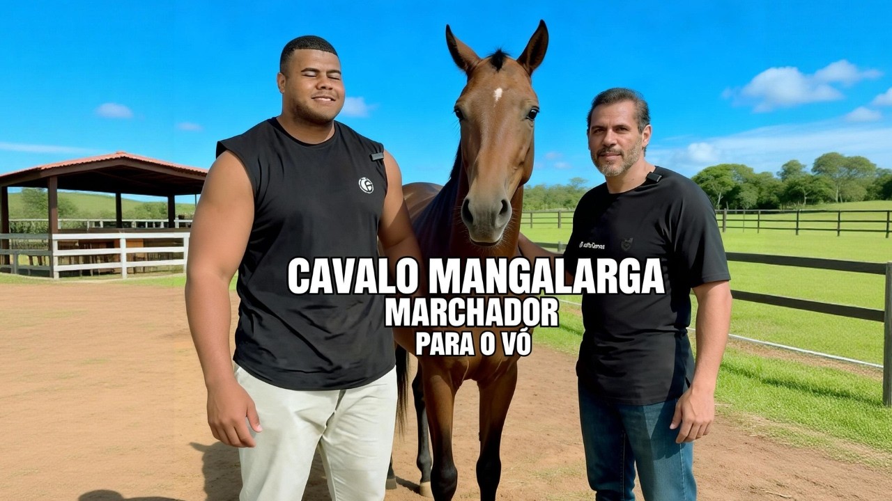 BITELO FOI AO HARAS E SAIU COM UM CAVALO CAMPEÃO PARA O AVÔ #bitelo #cavalomangalargamarchador