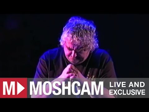 Video Man Obsessed
