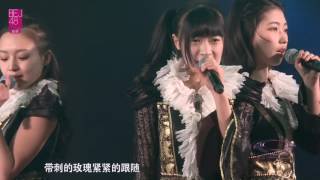 朱丽叶 BEJ48 李想 刘胜男 顼凘炀 20170121