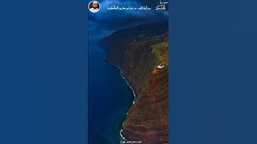 القارئ عبدالناصر القریشی  #shortvideo