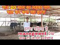 मात्र 20 साल का लड़का गाय पाल कर कमा रहा इतना// Raj Kamal dairy farm Mehsana Gujrat