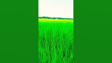 My First Vlog || Short Video || #my #myfirstvlog #myfirstvlogviral #my_first_vlog #myfirstvlog2022