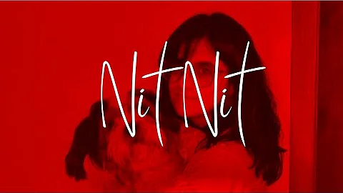 Nit Nit (lyrics) | Lo-Fi 2407xAdi | White Hill Music || Let's Listen Something Beautiful