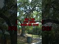 Dog Bites Man, Then Turns on Police