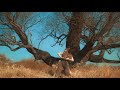 Nature Inspiration | video project by DanceContinent