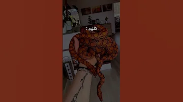 ريلزات الانستا بتعجبكم Viral Foryou حالات واتساب ستوريات انستا Subscribe حب Trending Love 
