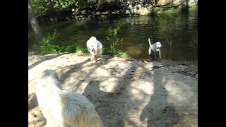 MVI 0008 beach 050922