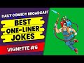 Clean Jokes  Clean One Liner Jokes  Clean Short Jokes  Comic Insults  Vignette #6